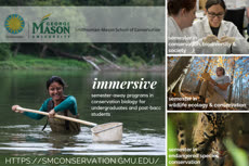 Information regarding SMSC Undergraduate Programs in Conservation is as follows Start date (when you would like your content to be posted) is December 03 2019 and End Date (when you would like your content to be removed from the screens) is December 31 2019 and File is Browse and File Name is UGRD-Programs14_comp.jpg and Panel for your ad to be displayed is Main and Affiliation is Mason Department and Email is rbarret@gmu.edu and Name is Robert Barrett and Group Name is SMSC and Name of Ad/Event is SMSC Undergraduate Programs in Conservation and