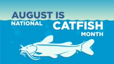 Information regarding August Catfish month is as follows Start date is August 01 2017 and End Date is August 31 2017 and Name of Ad/Event is August Catfish month and File is Browse and File Name is August-Catfish.PNG_comp.jpg and Panel is Main and Affiliation is recognized student organization and Name is Sophie White and Email is swhite@apogee.us and